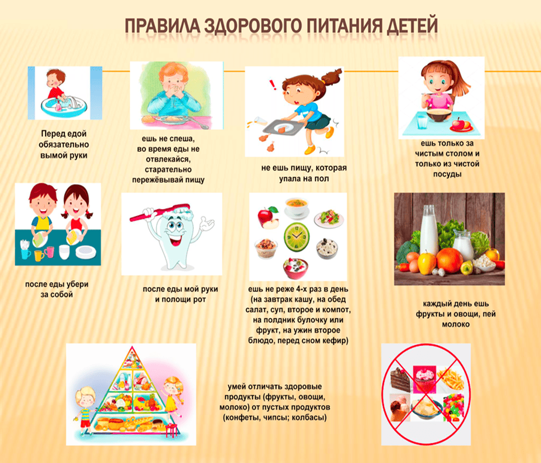 питание